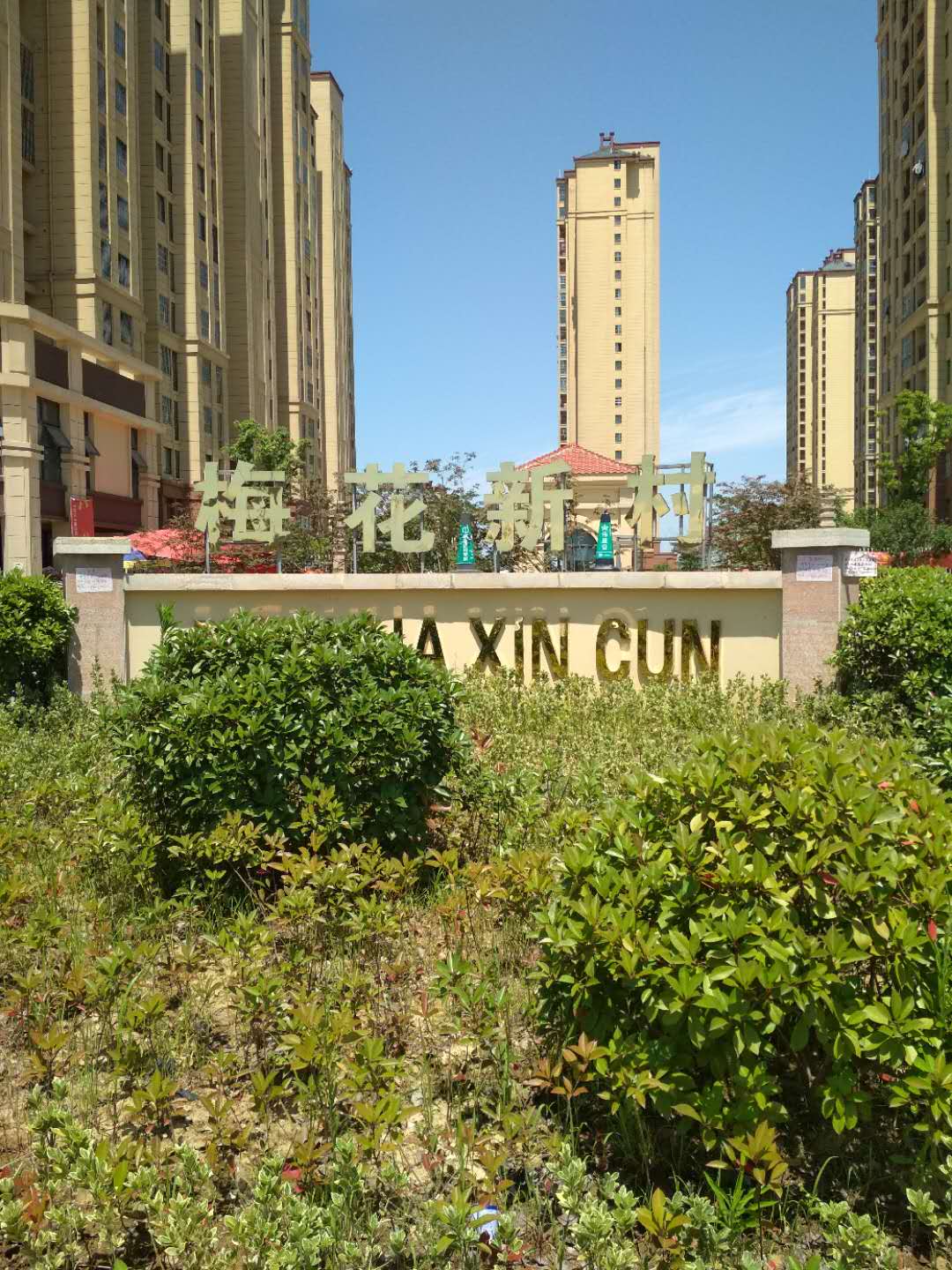 Section image