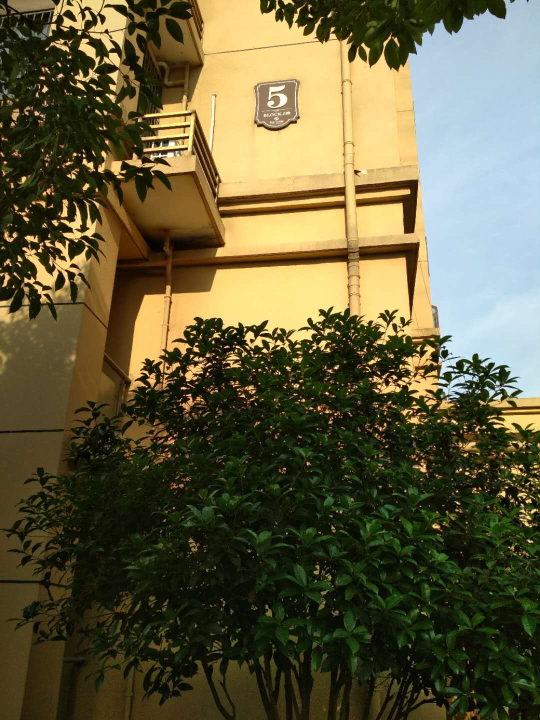 Section image