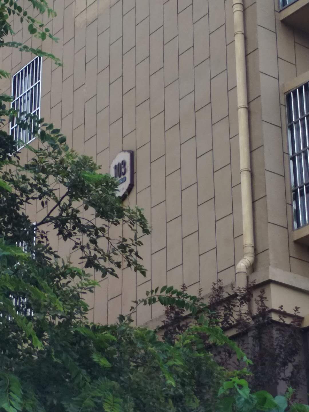 Section image