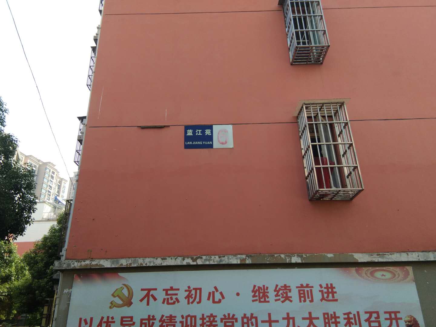 Section image