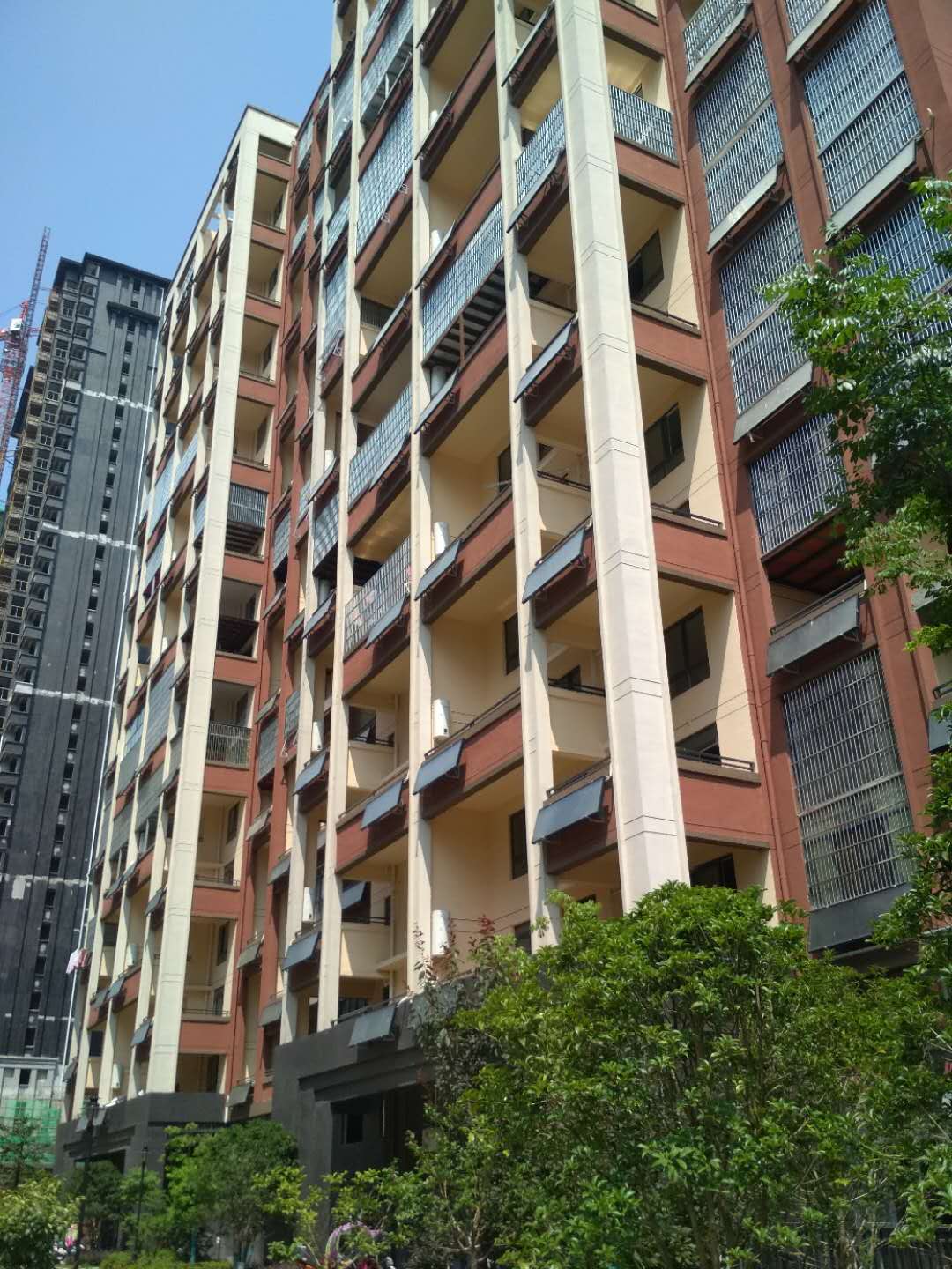 Section image