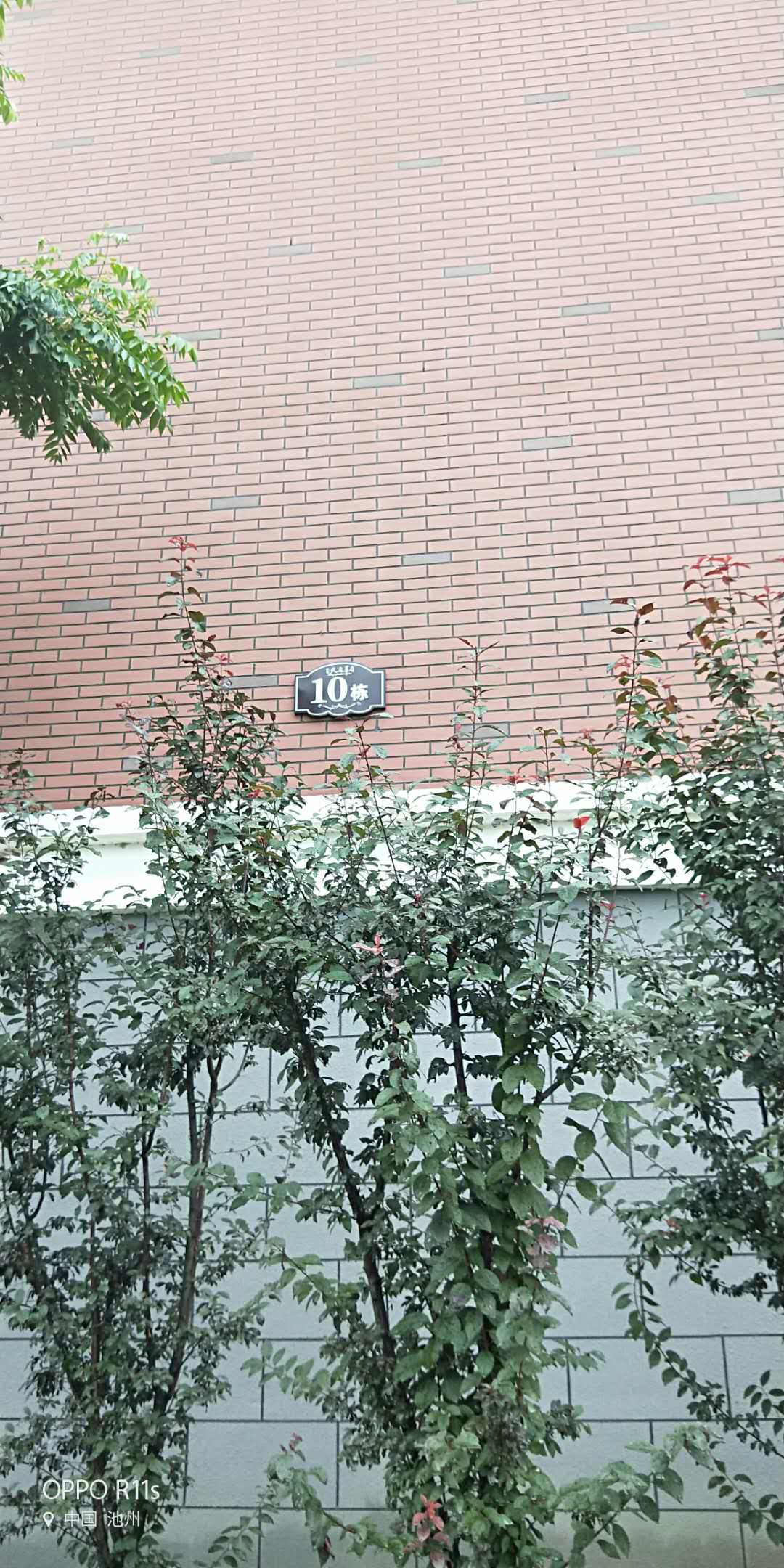 Section image