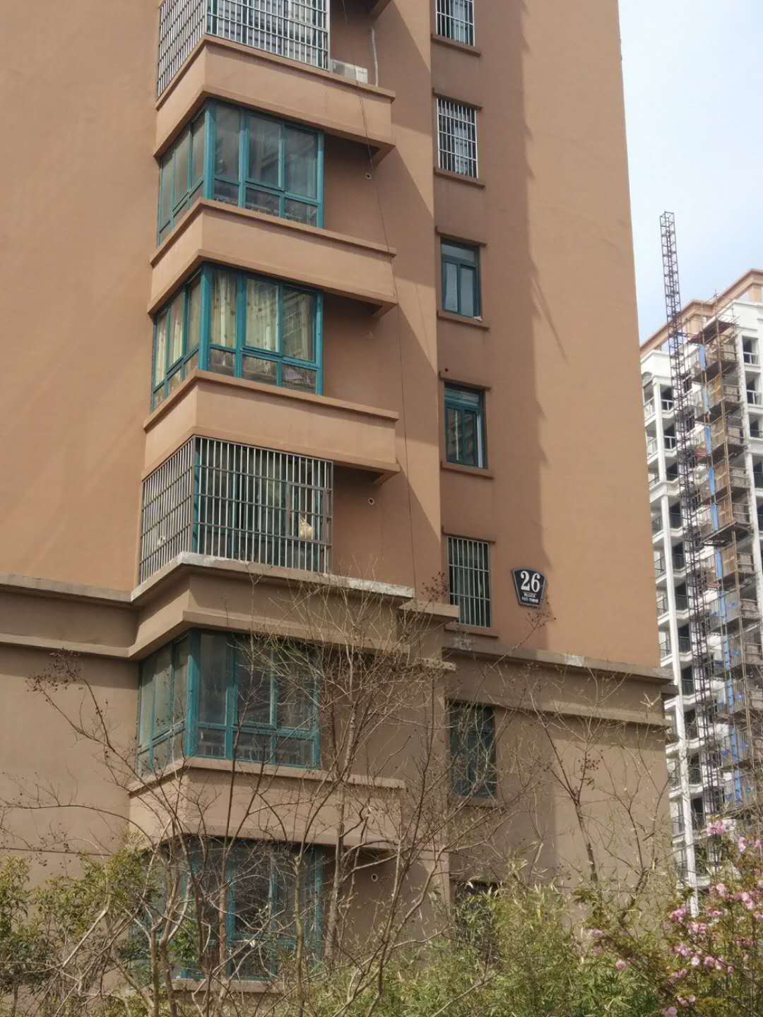 Section image