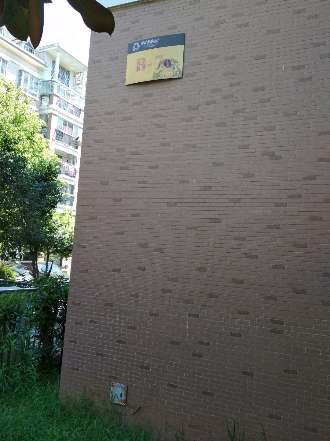 Section image