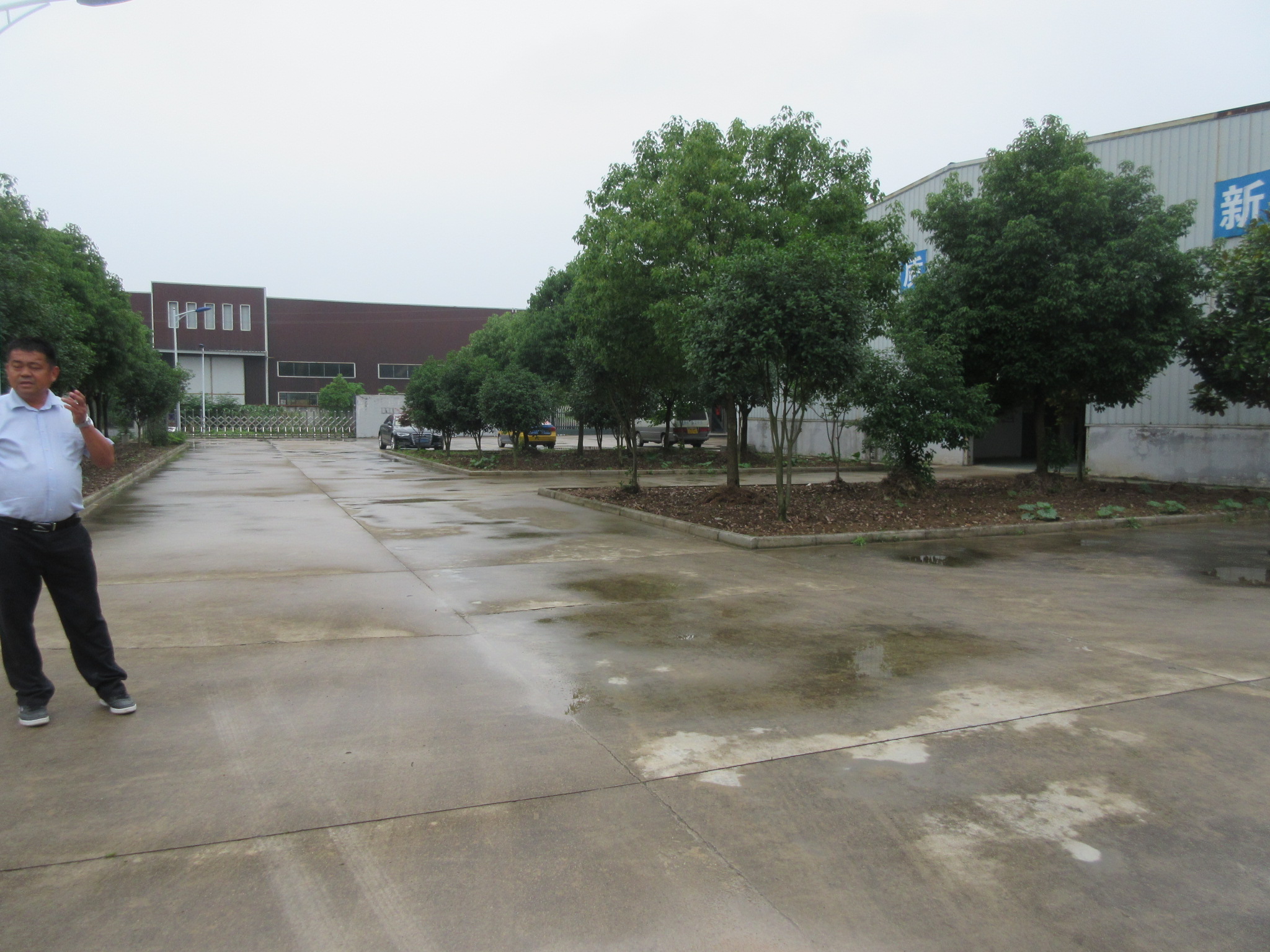 Section image