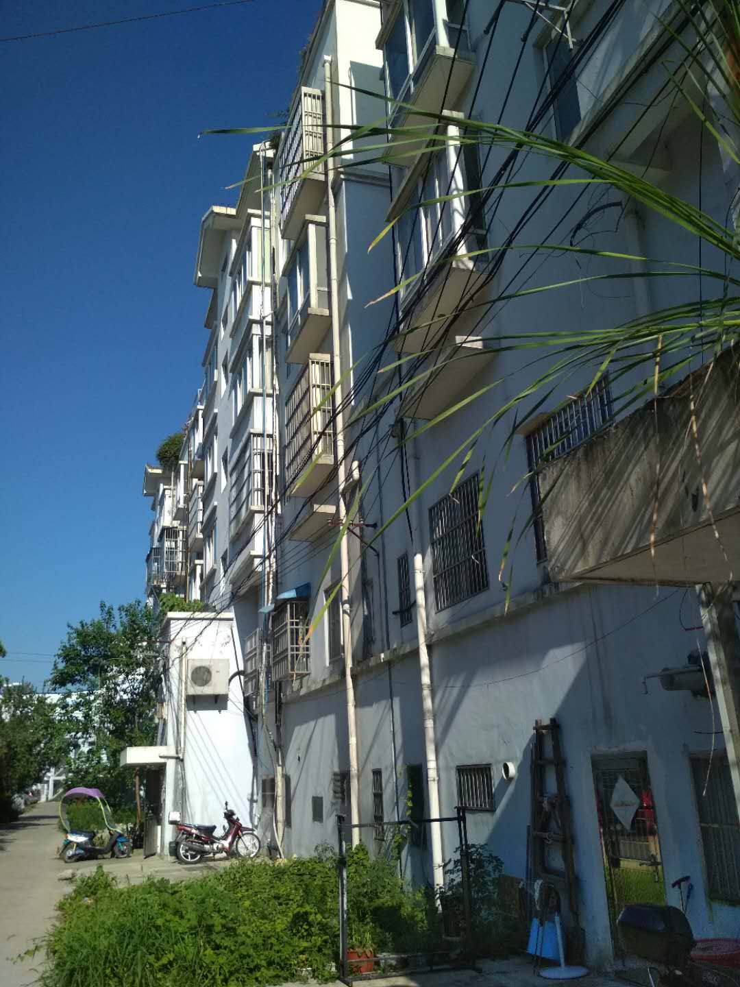Section image