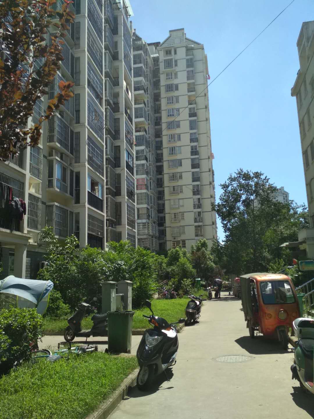 Section image
