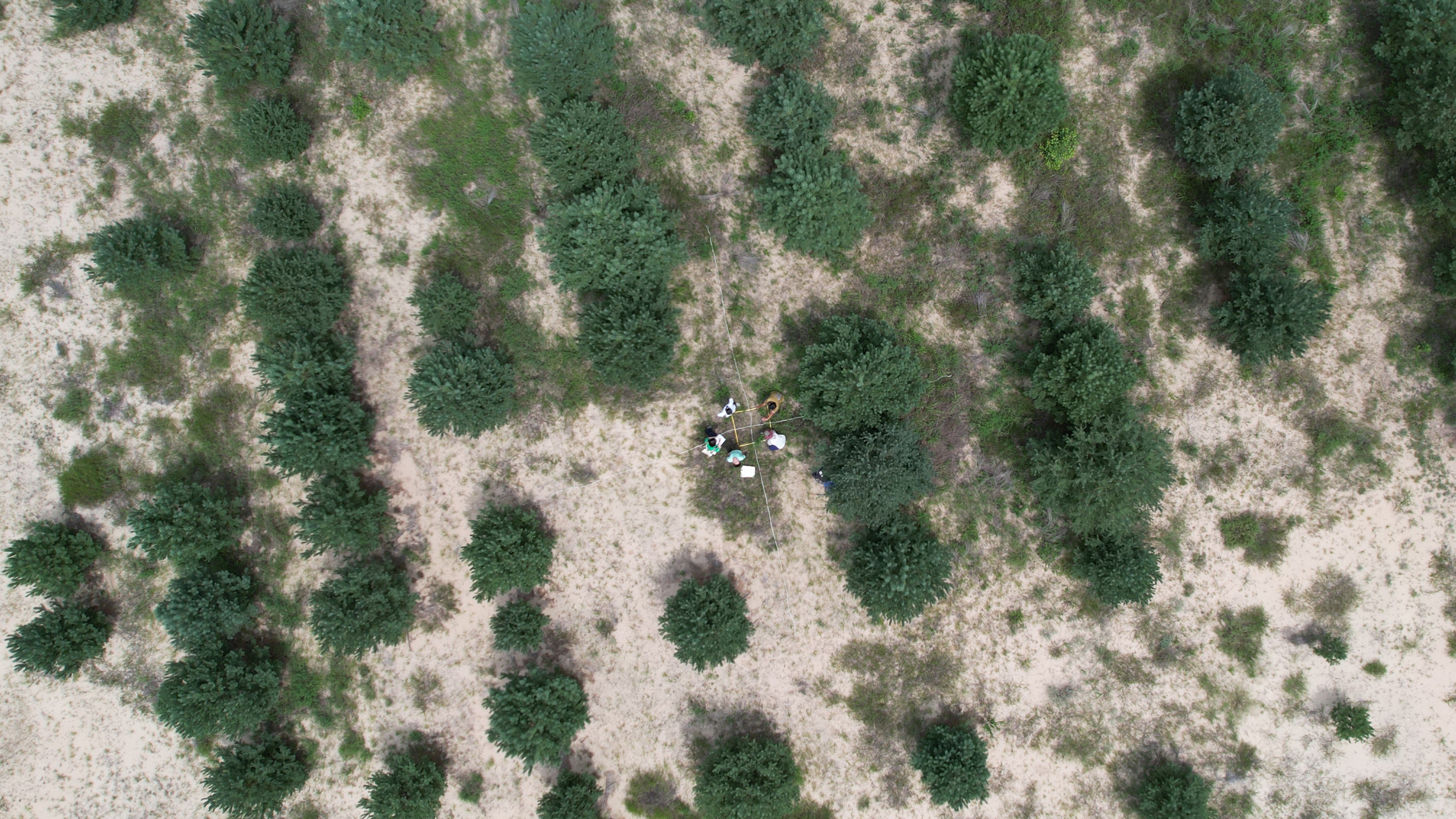 Section image