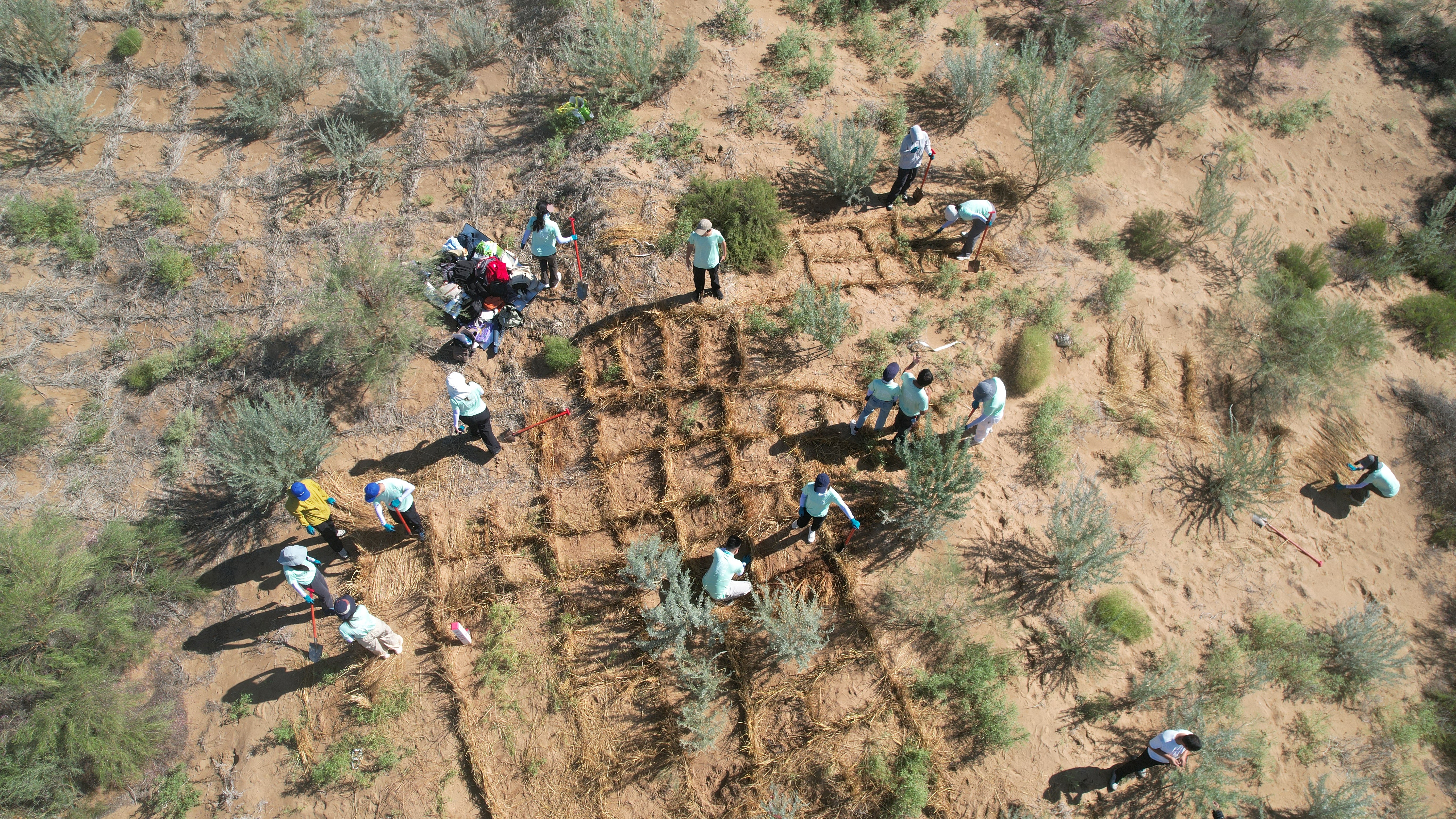 Section image