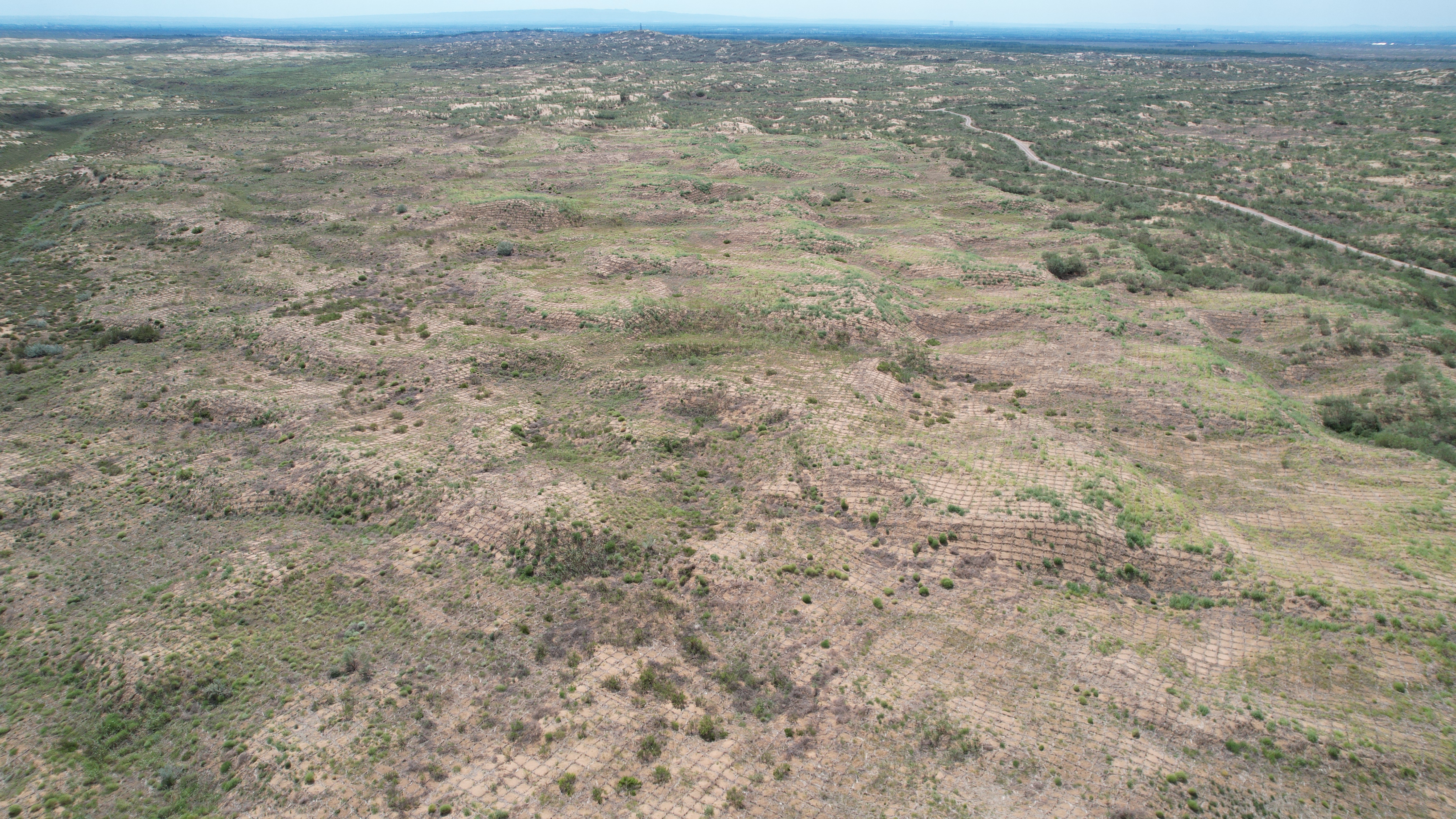 Section image