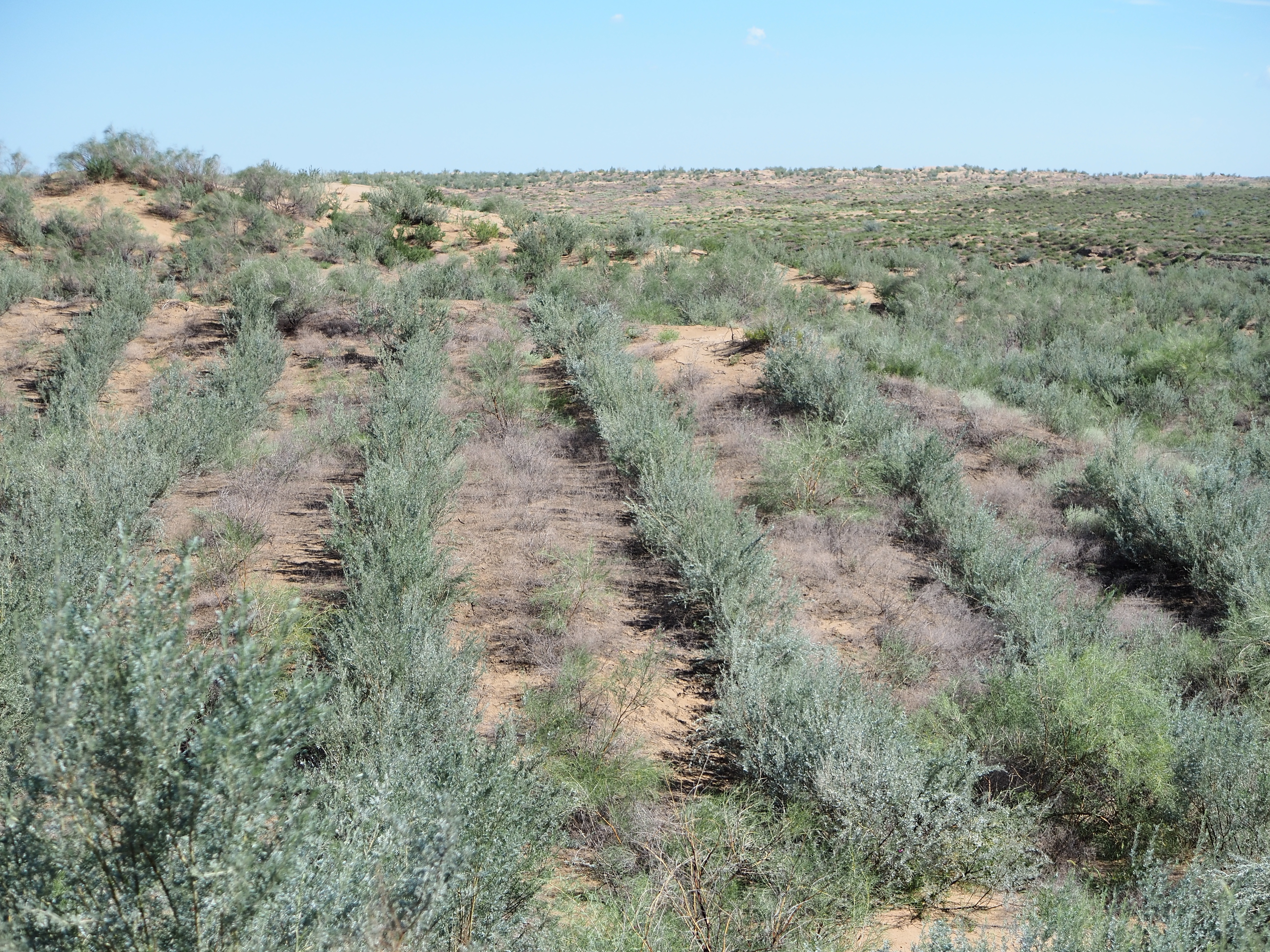 Section image