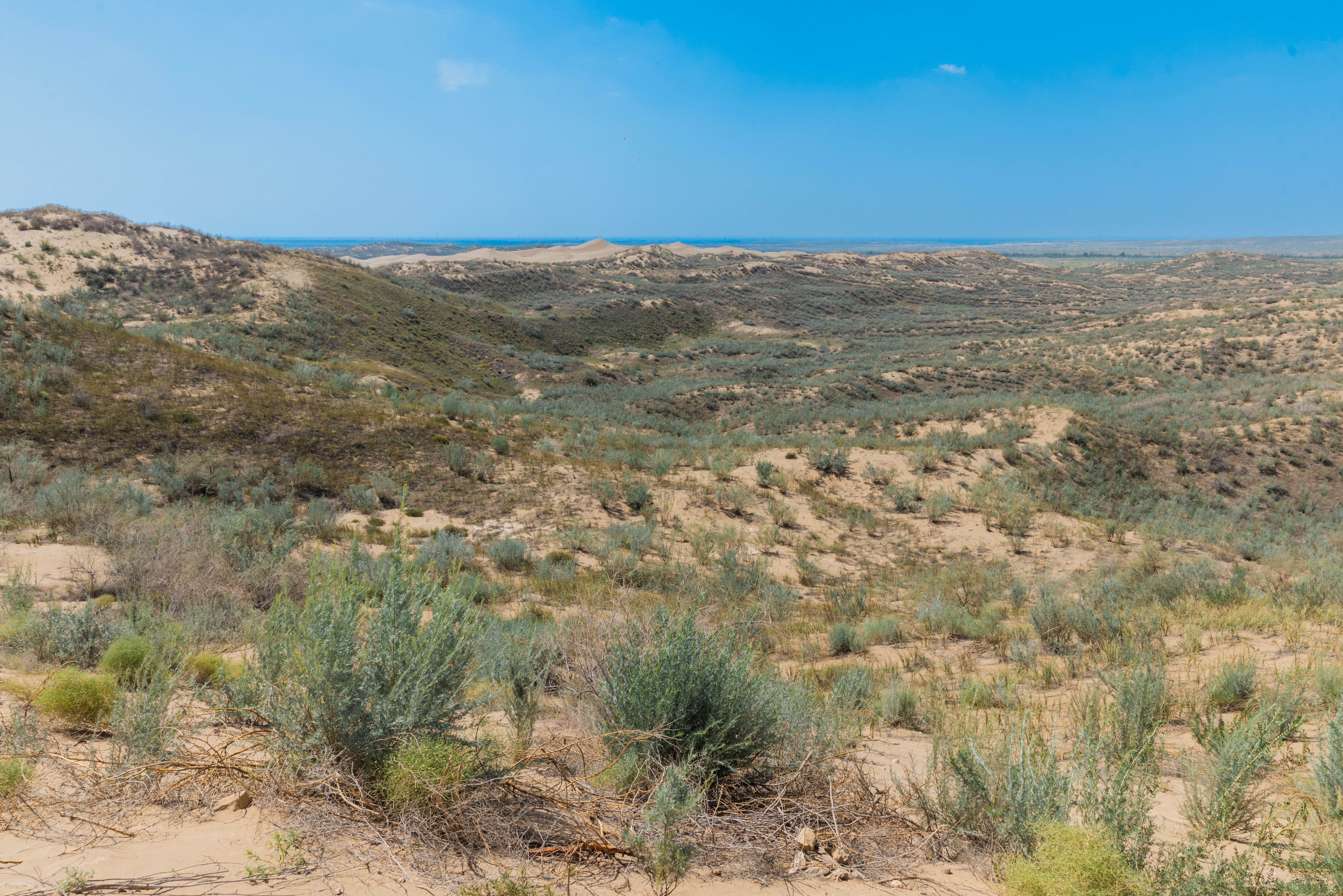 Section image