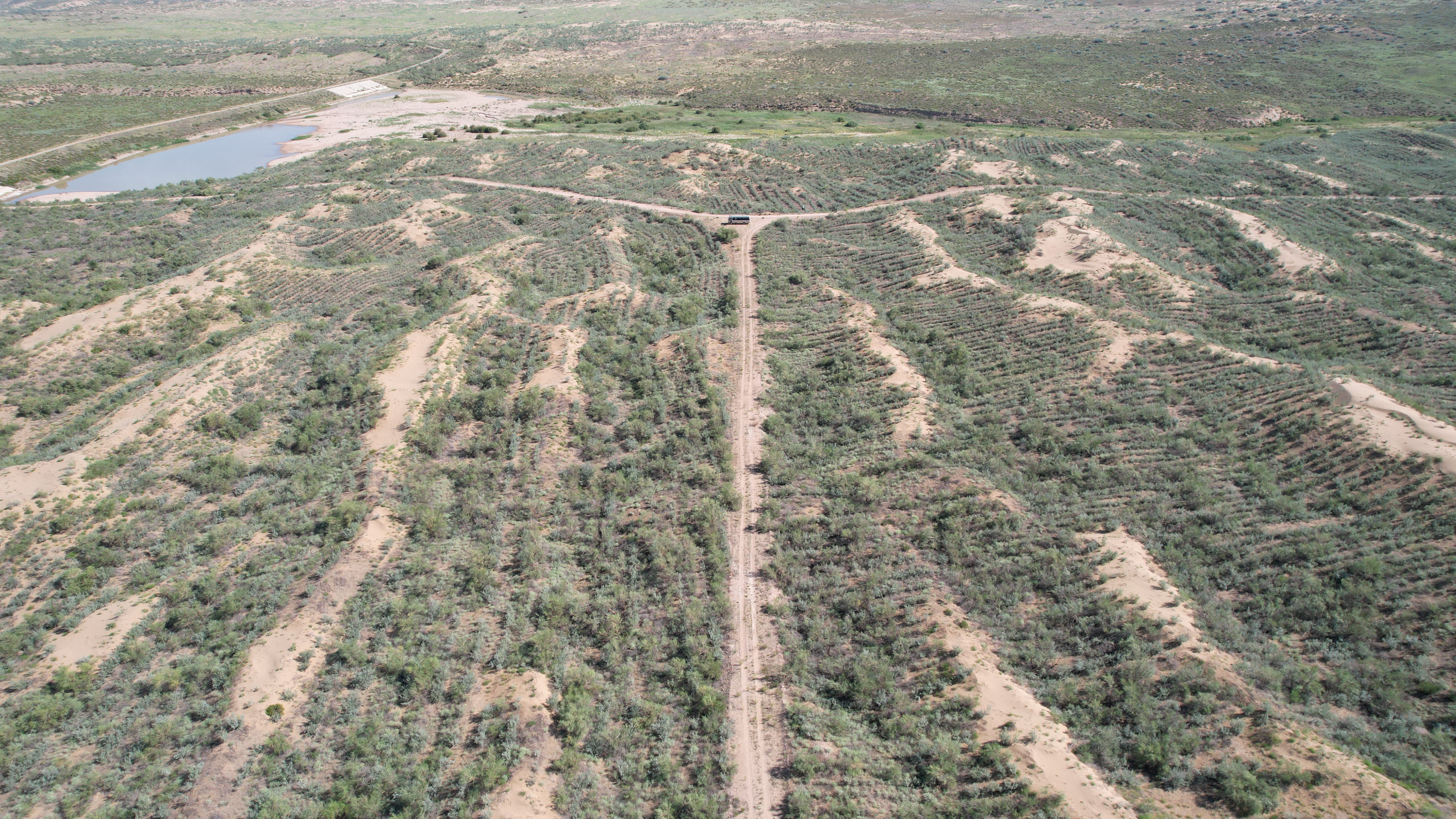 Section image