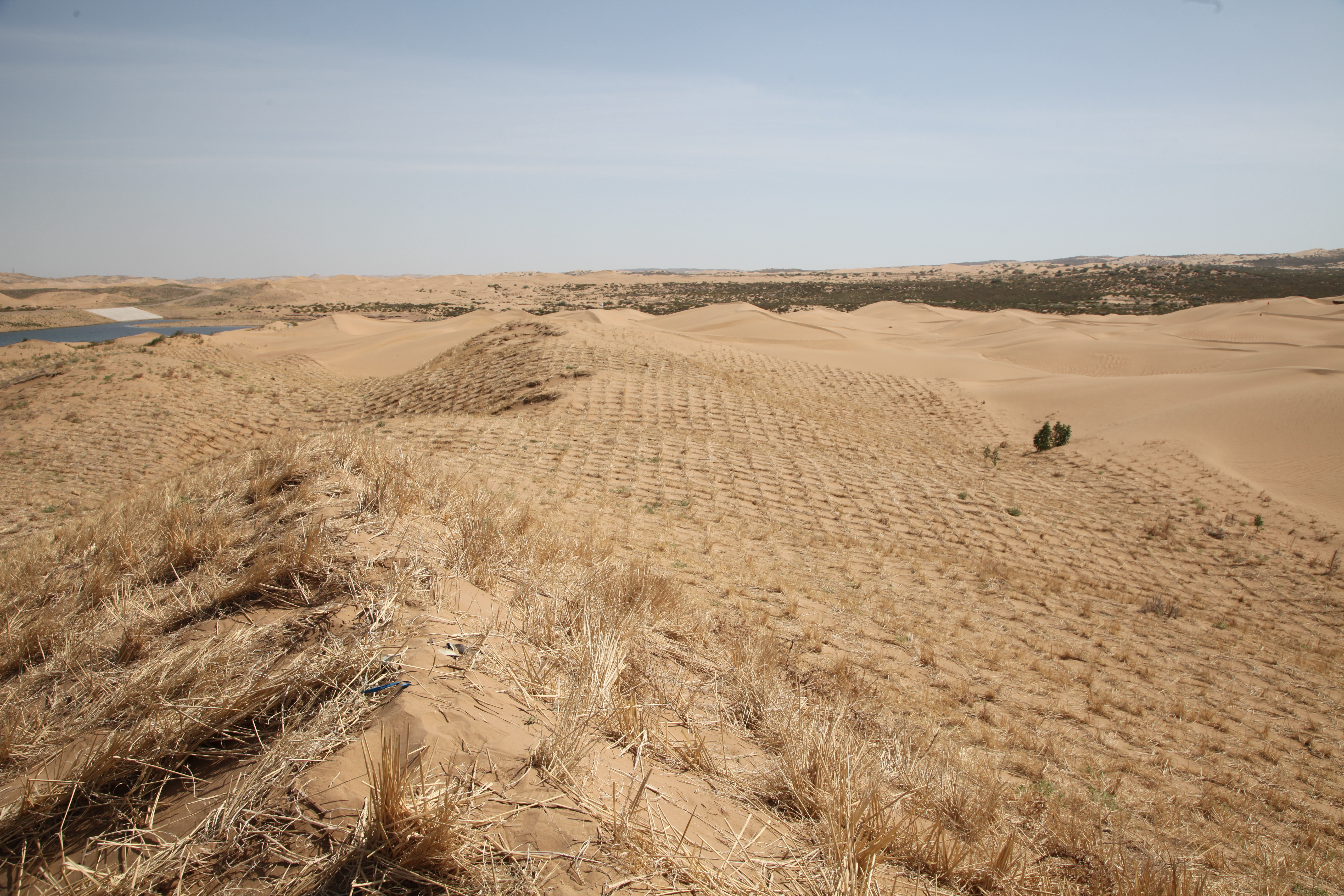 Section image