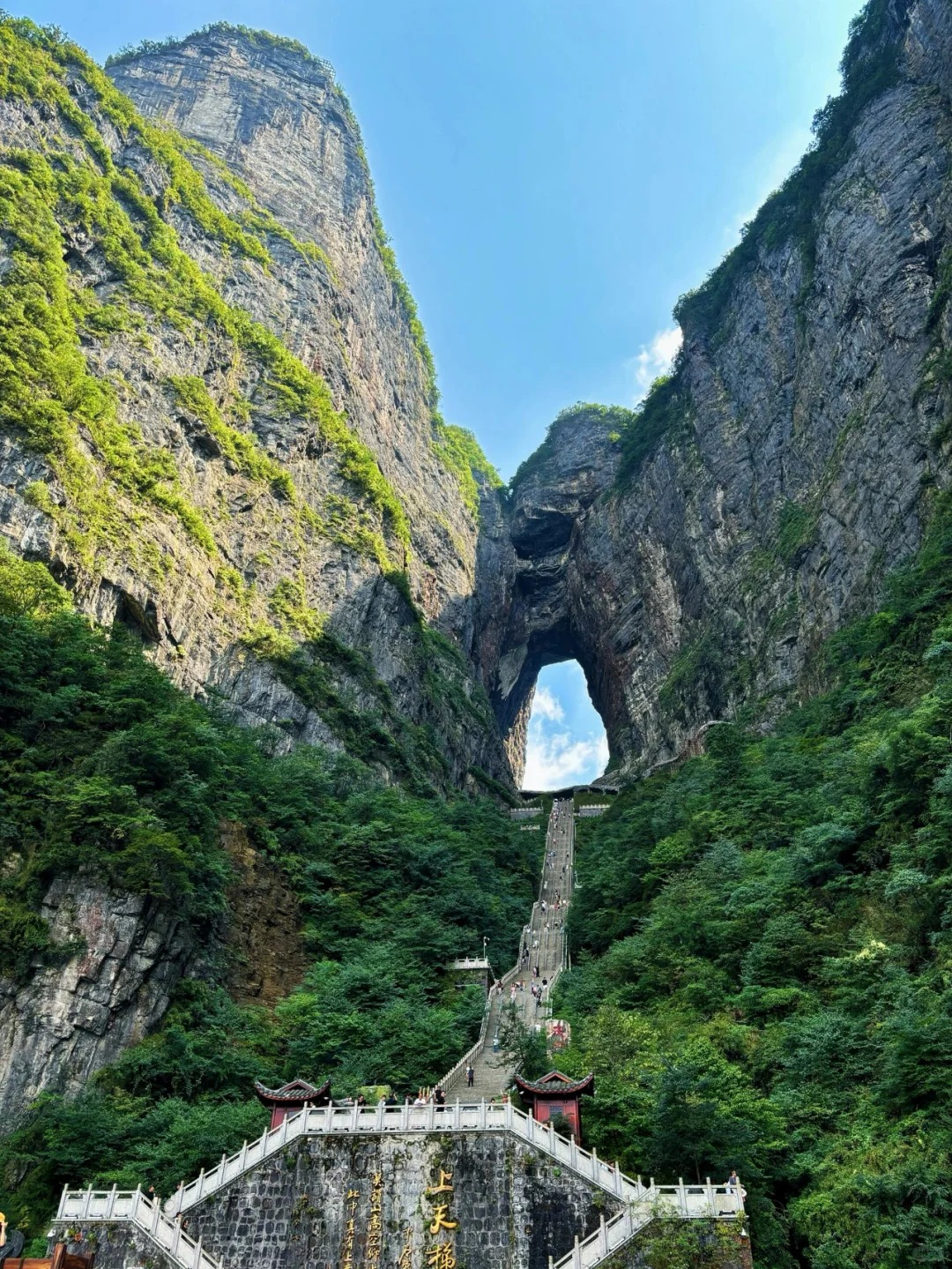 Section image