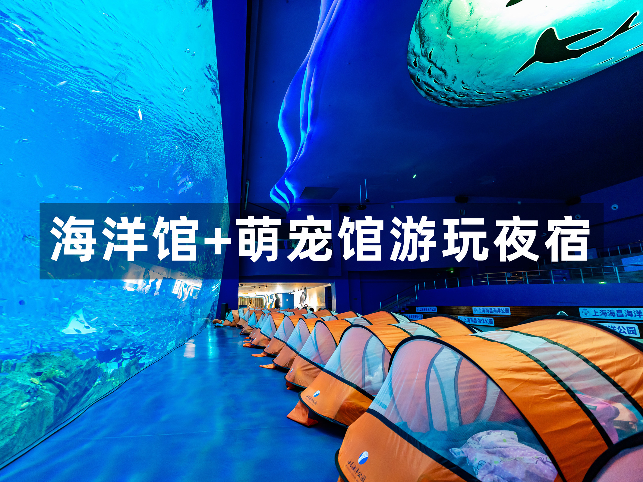 海洋馆+萌宠馆游玩夜宿（仅限开沙岛单周营额外加购）