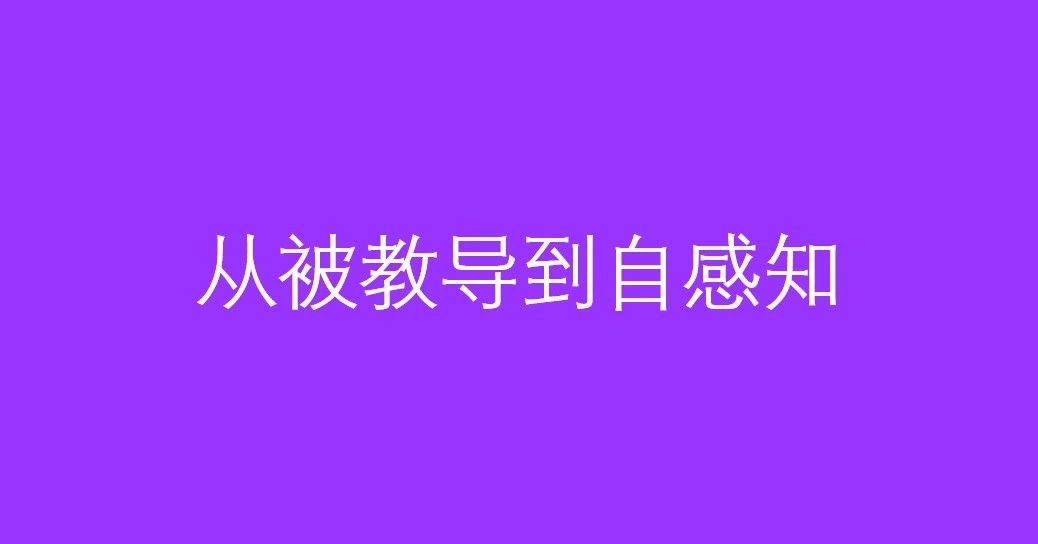 从被教导到自感知