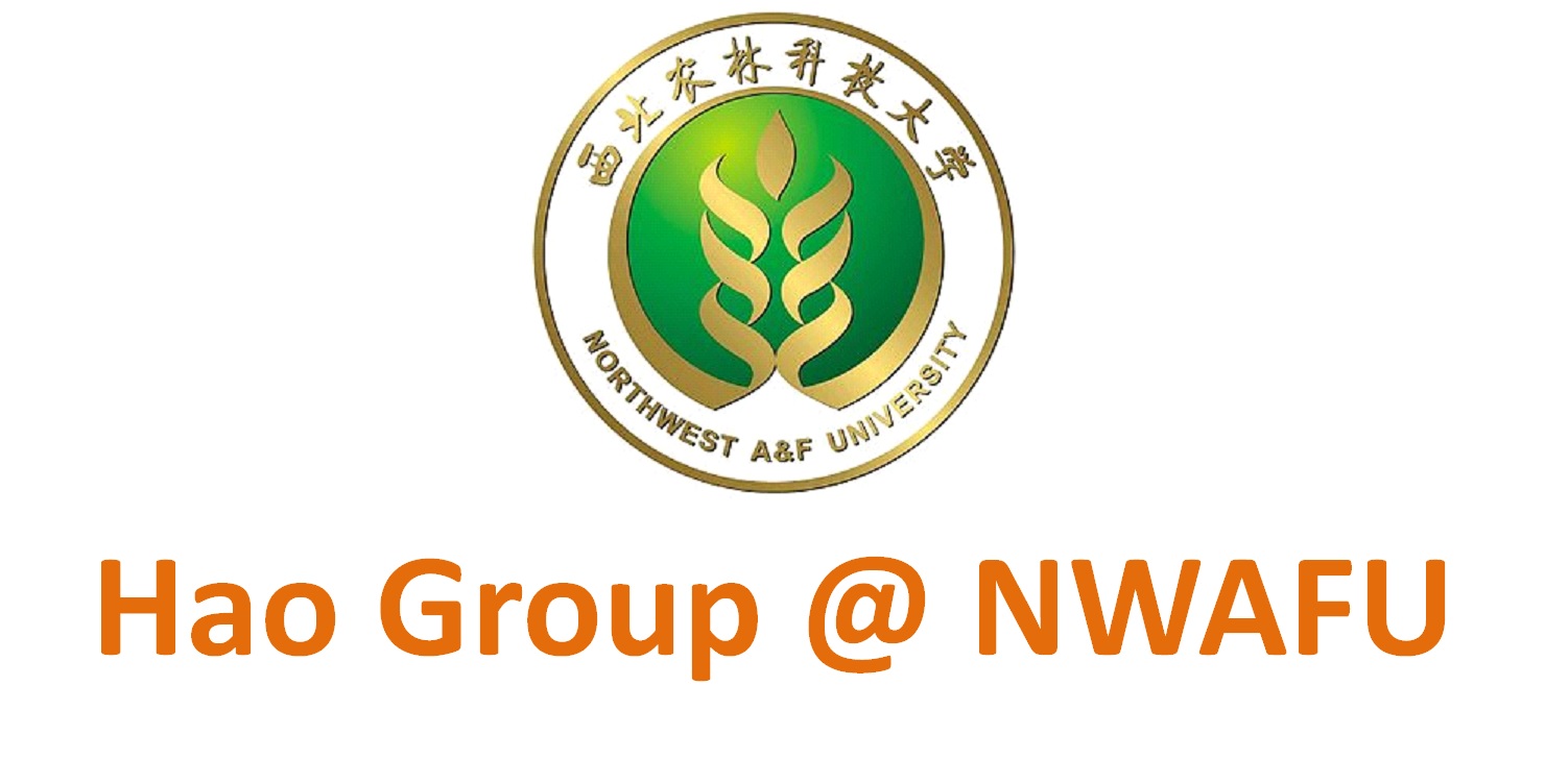 HAO GROUP