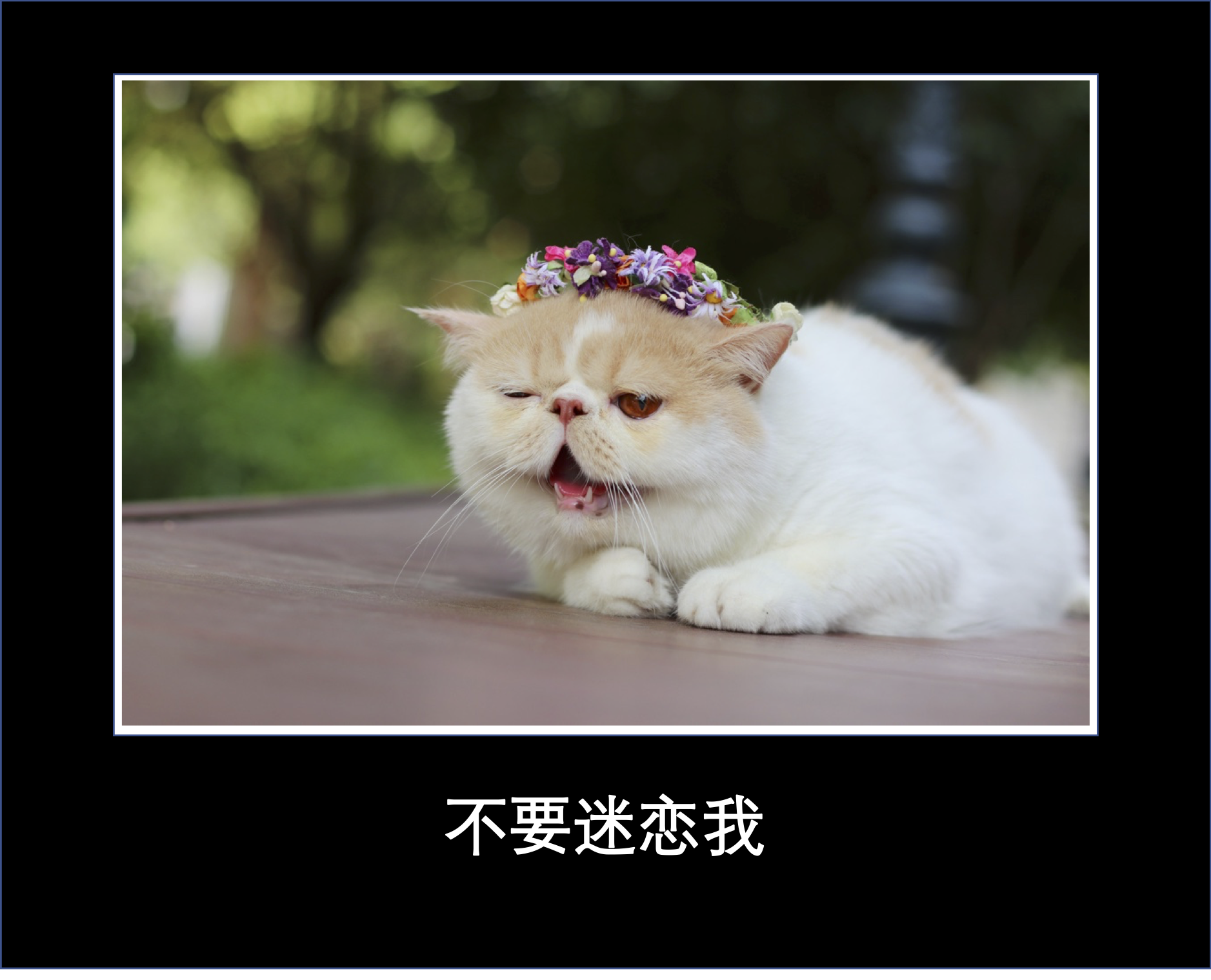 C'est Moi 肉粽