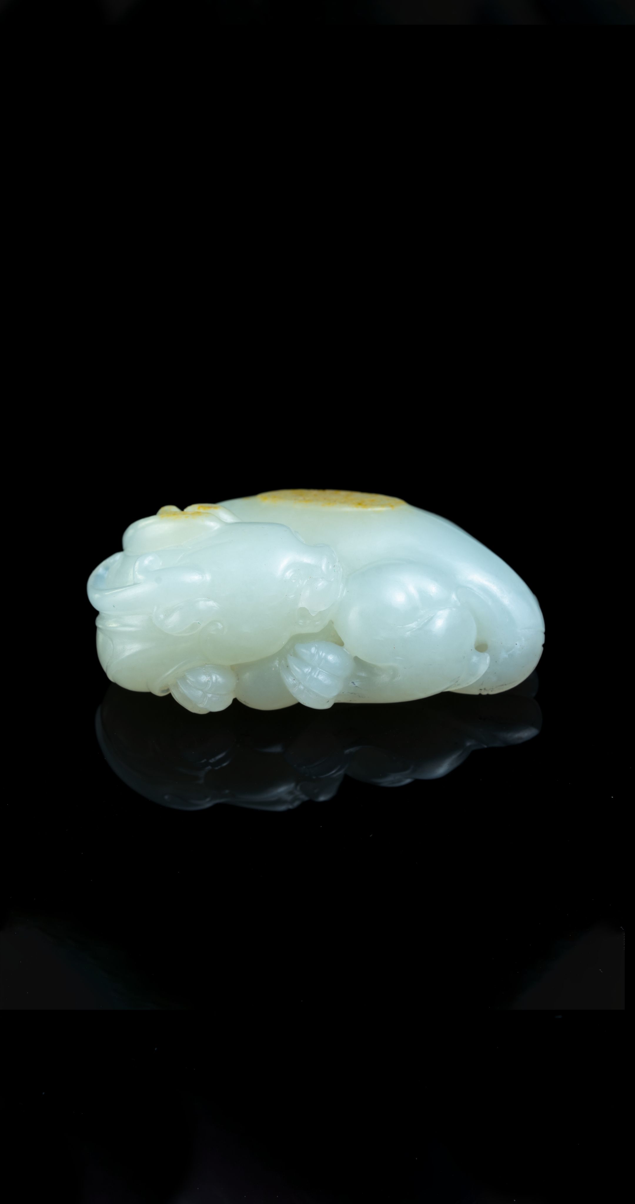 Section image