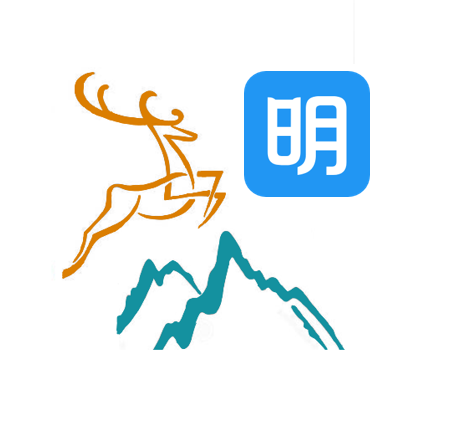 企业数字化应用