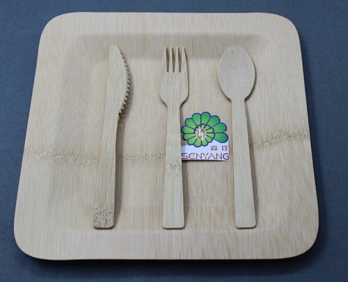Biodegradable disposable Bamboo Plates/Dishes/Tray