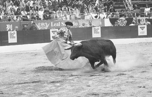 鬥牛 I,Bullfighting I,1996