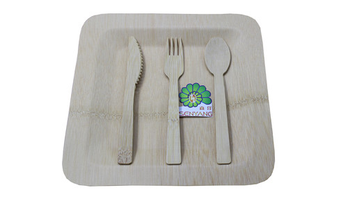 Biodegradable disposable Bamboo Plates/Dishes/Tray