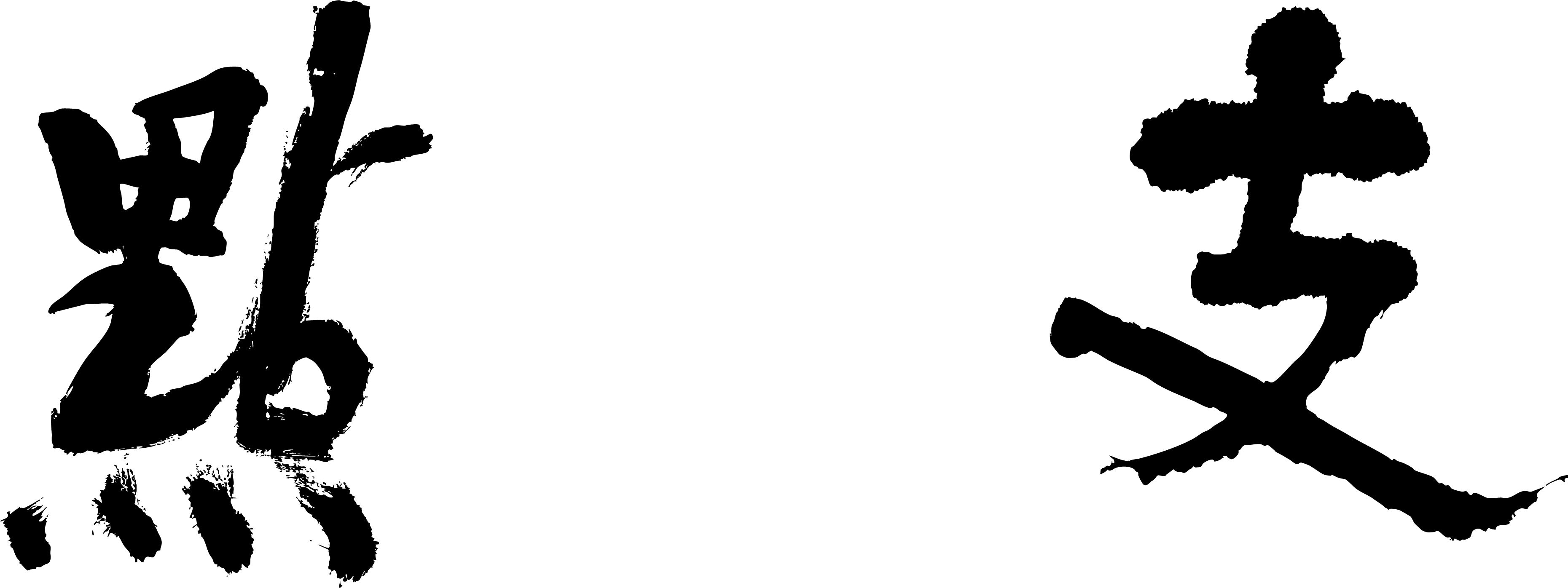 broken image