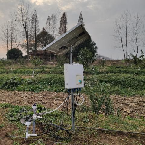 Sensor