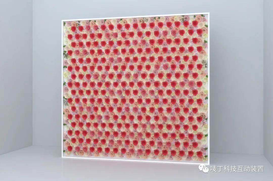 可以转动， 一整面照片墙十分适合网红打卡
