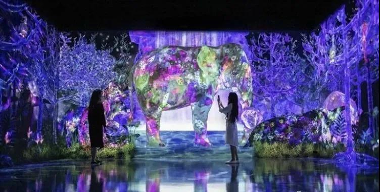 teamLab forest公共艺术装置
