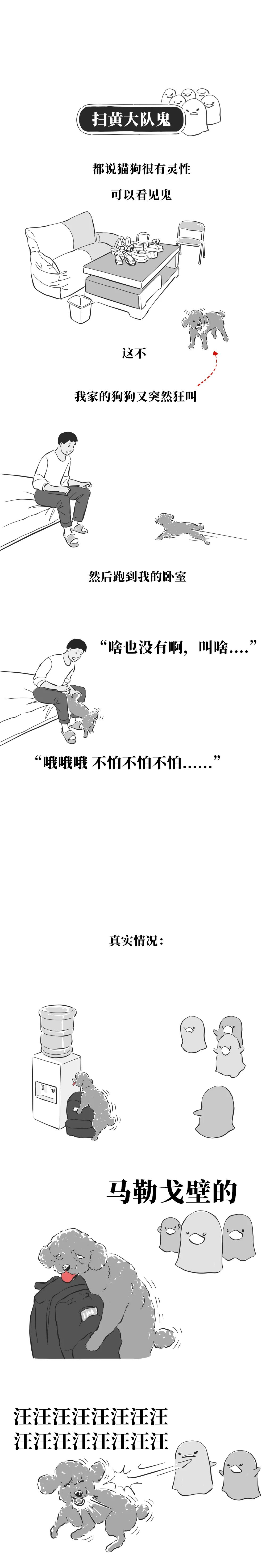 broken image