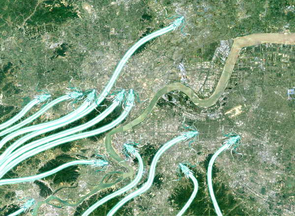 Section image