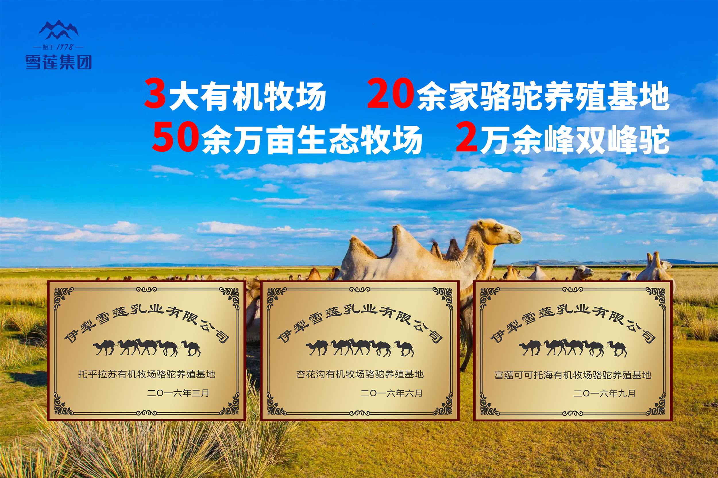 高山牧场 - 昊泽国际|高山牧场_伊犁雪莲乳业_驼奶粉
