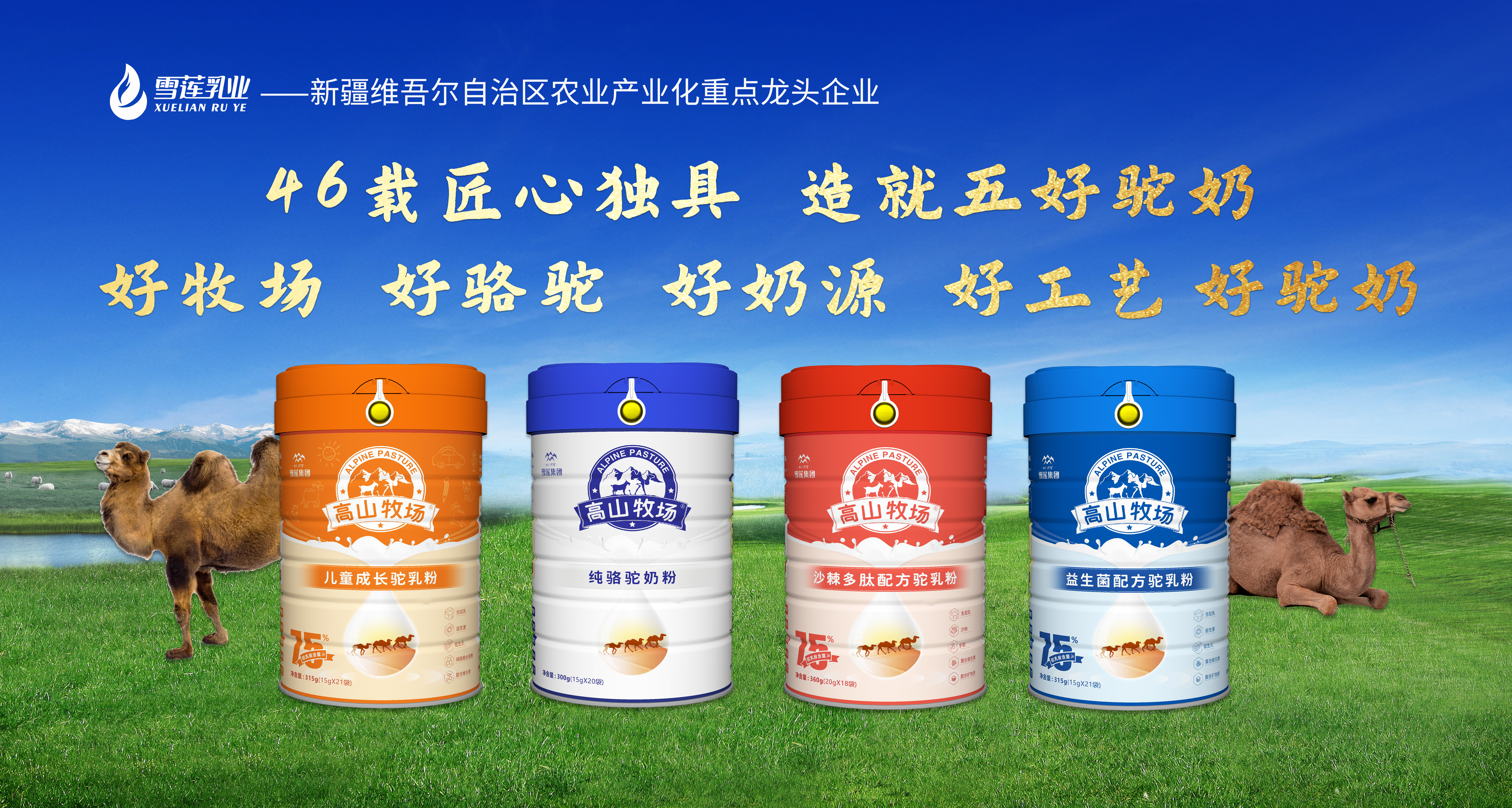 高山牧场 - 昊泽国际|高山牧场_伊犁雪莲乳业_驼奶粉