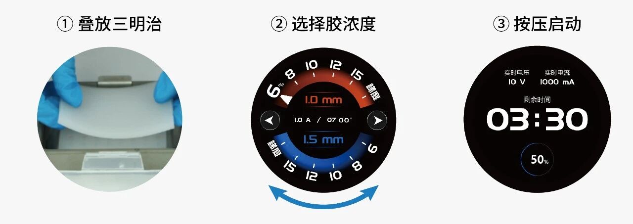 EZ BLOT 一键湿转仪