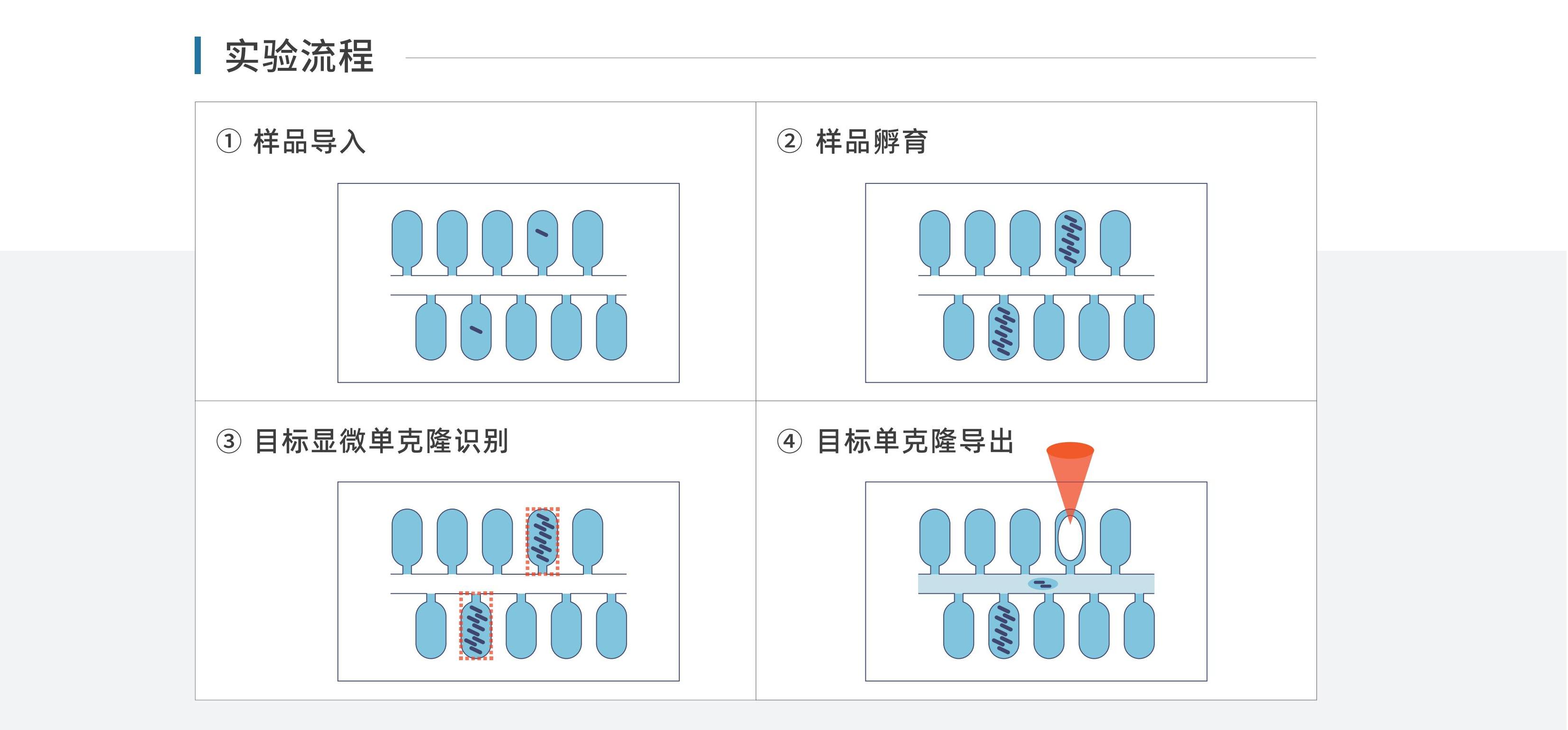 数字化克隆挑选仪