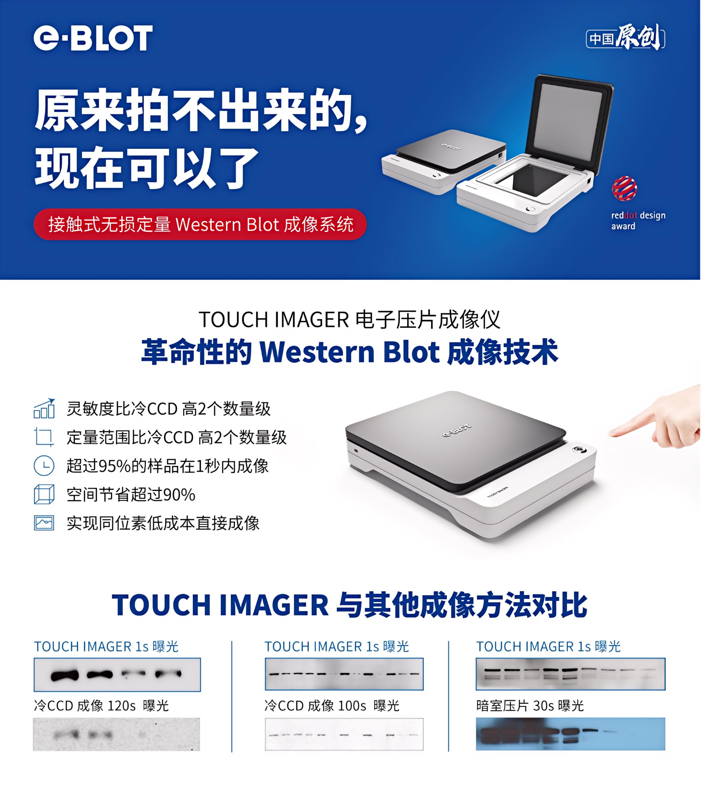 e-Blot Touch Imager 电子压片成像仪