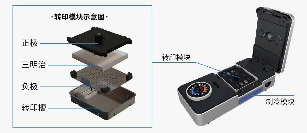 EZ BLOT 一键湿转仪