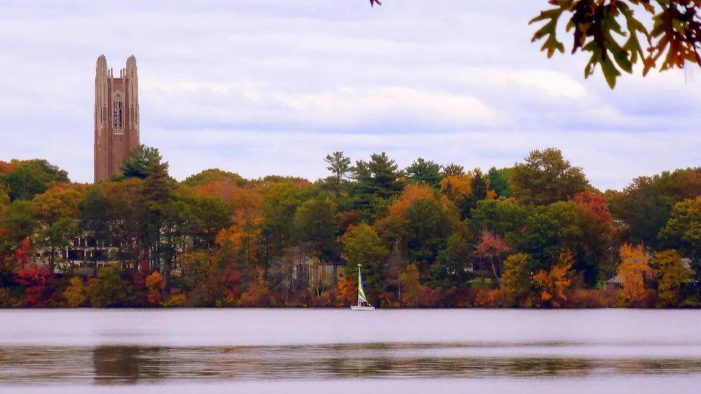 Section image