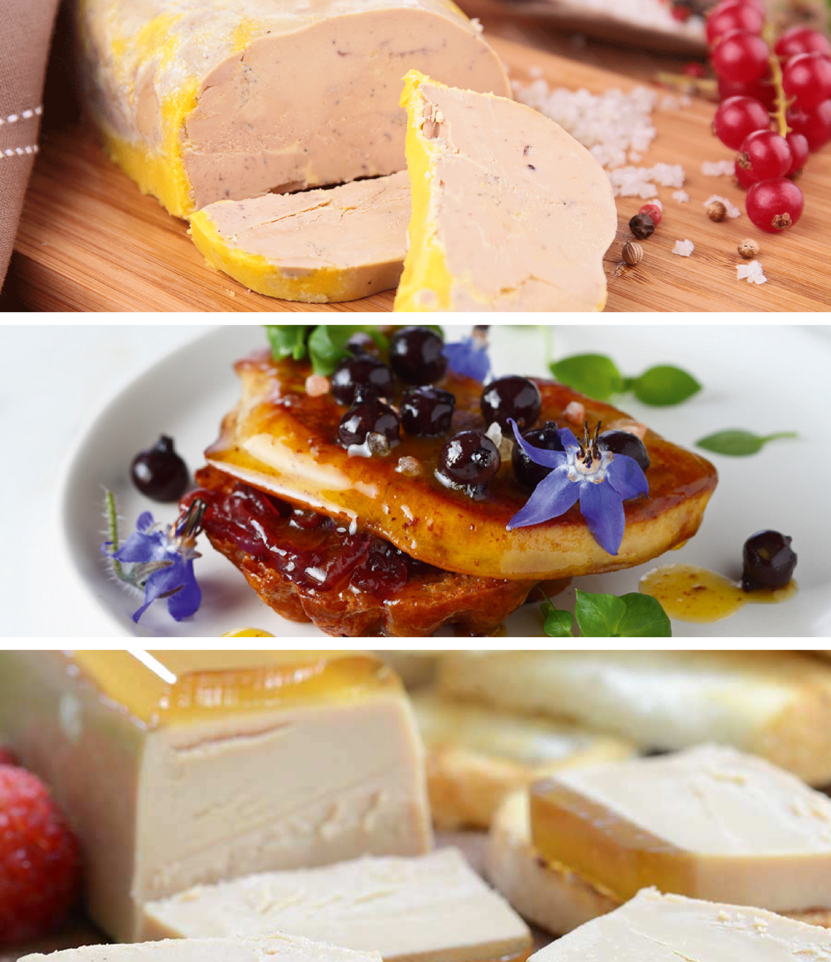 Goose foie gras terrine: recipe, english aftouch-cuisine