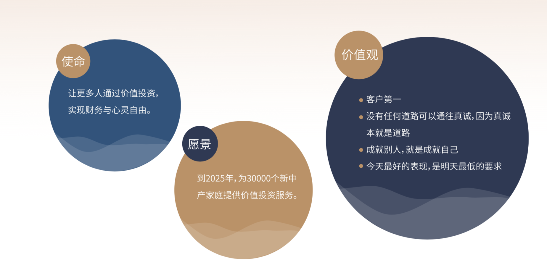 使命,愿景和价值观