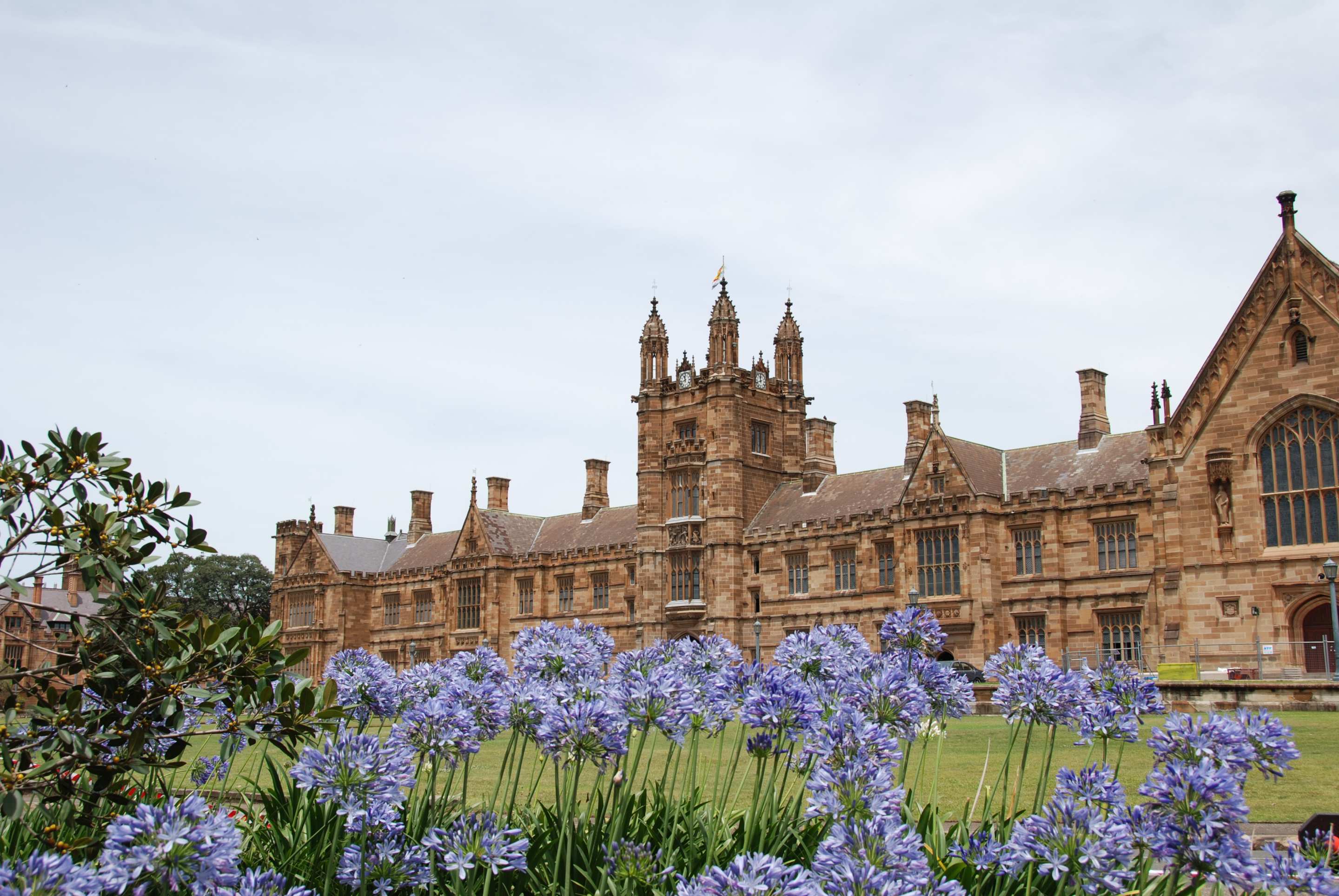 悉尼大学