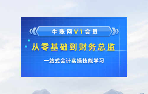 全网Vip1会员会计实操(各岗位:出纳-会计主管-财务经理-财务总监)终身有效,终身指导(学完可转卖)
