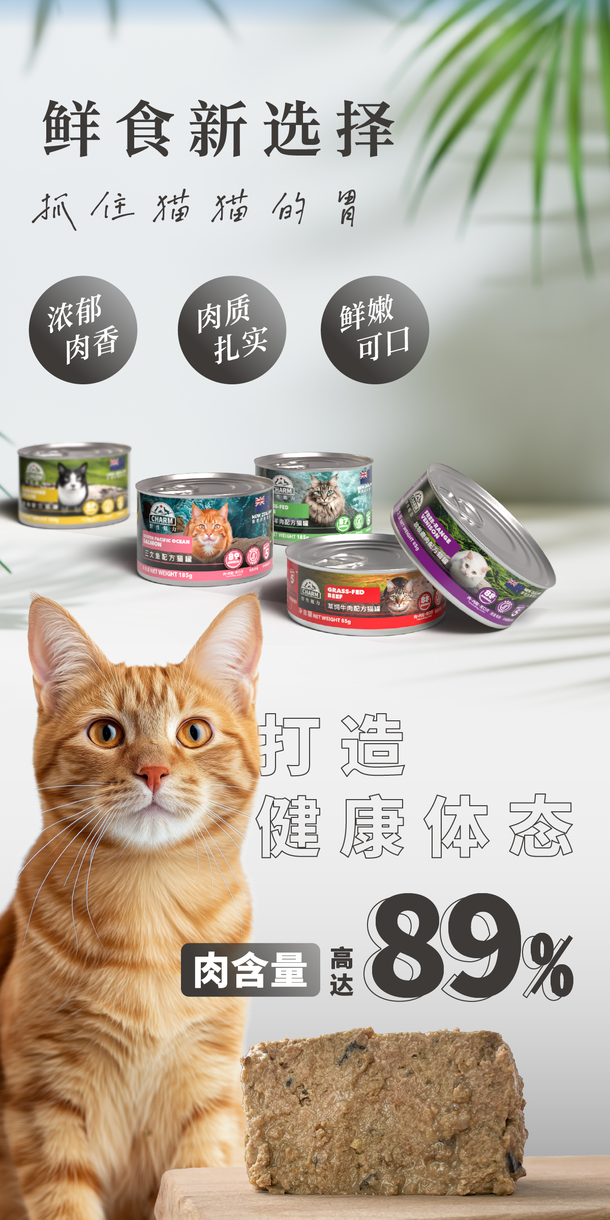 鸡肉猫罐-五大超能配方