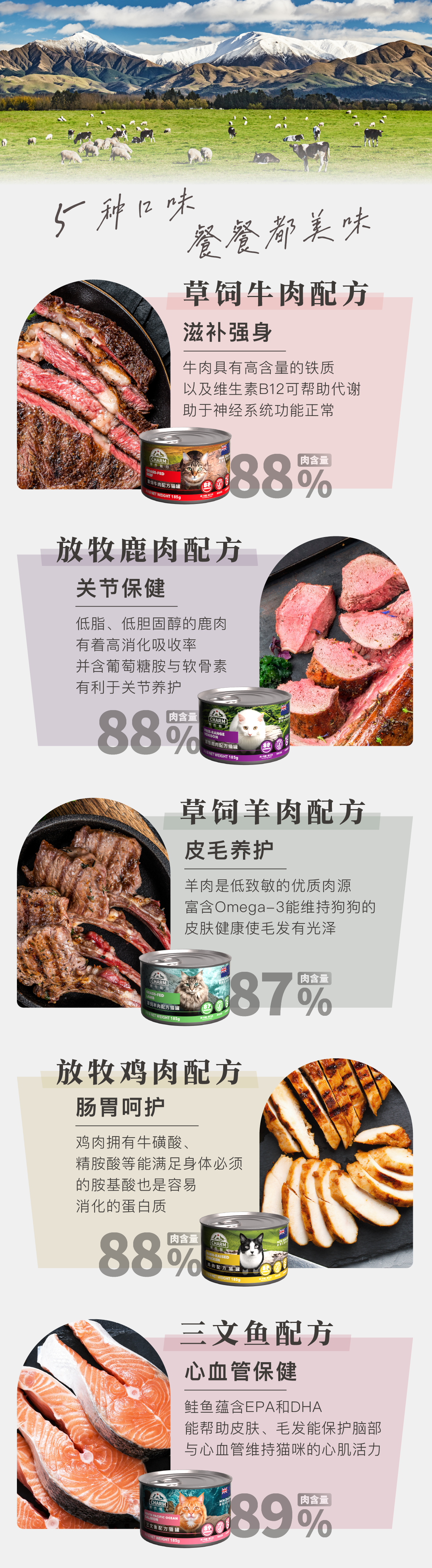 鸡肉猫罐-五大超能配方