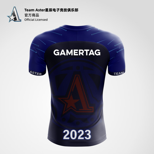 Team Aster 2023 官方选手短袖T恤 