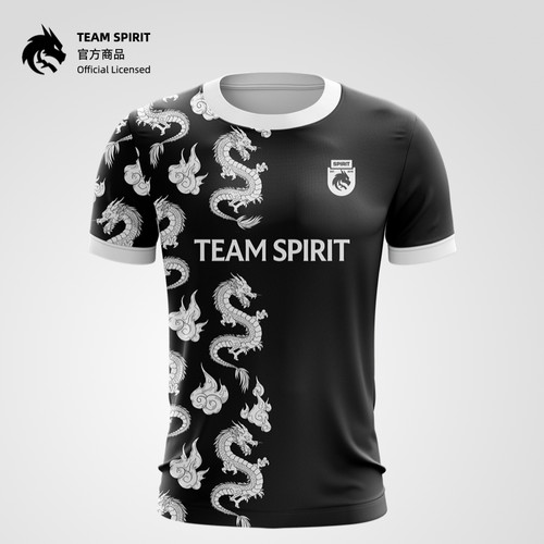 Team Spirit 23-24 赛季常规队服
