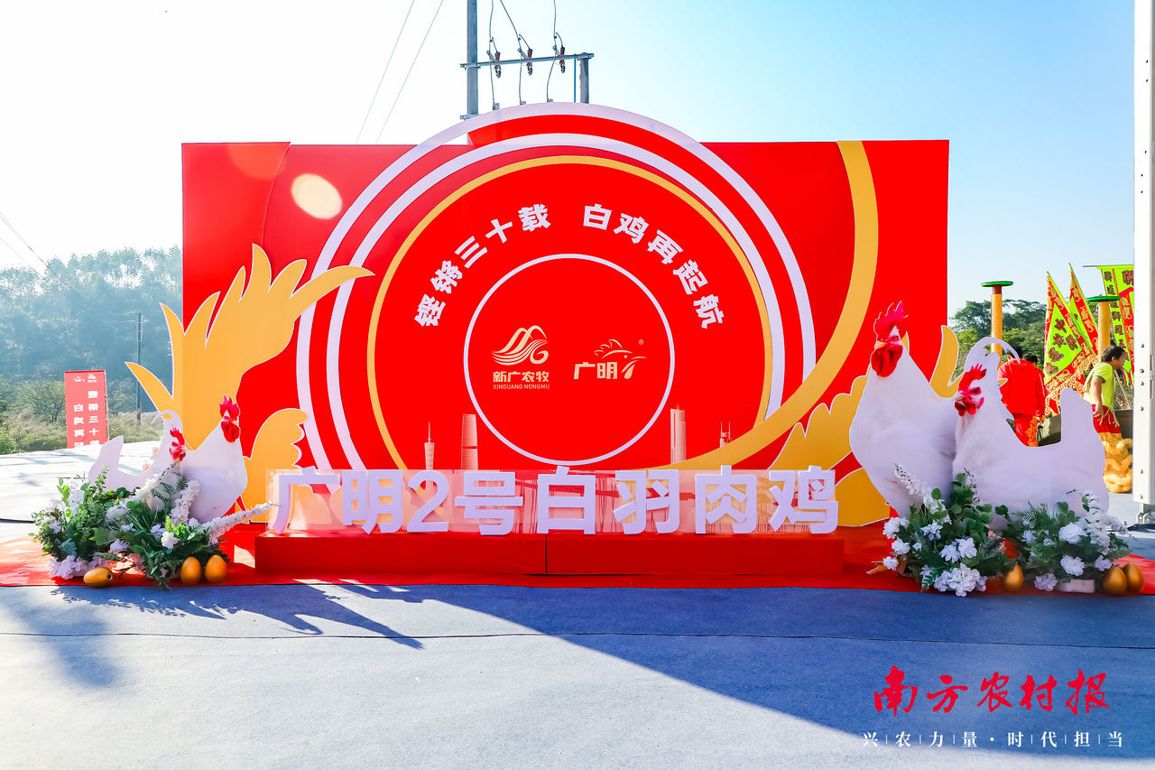 广东省白羽肉鸡品种推介暨种业创新园竣工投产活动